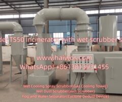 Model TS50 Incinerator with wet scrubber system